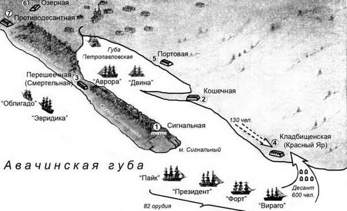 Схема организации Петропавловской обороны.