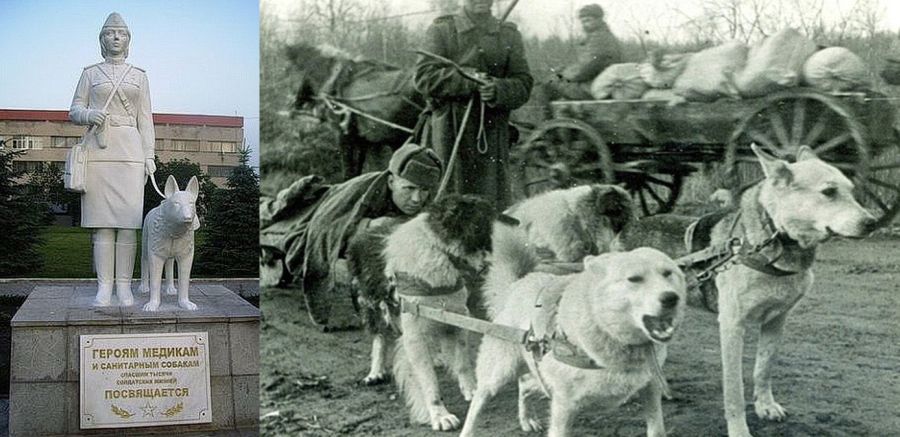 Памятник героям-медикам и санитарным собакам, спасшим тысячи солдатских жизней; справа – санитарная собачья упряжка, вывезшая тяжелораненого с поля боя