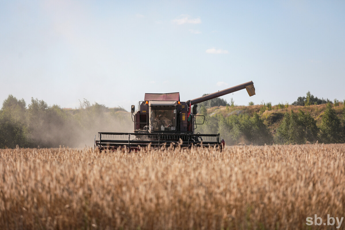Белоруссия и Россия: вместе против новых экономических вызовов