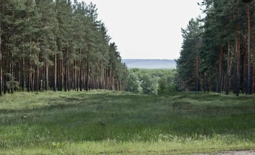 Национальный природный парк «Кременские леса», расположенный на территории Северодонецкого района ЛНР, был создан 10 сентября 2019 года. Его площадь составляет 7269 га.