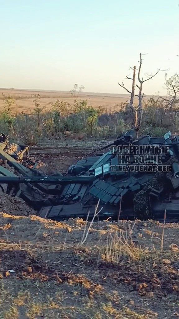 Bergepanzer 3 Buffel: помощь ФРГ для ВСУ сгорела на Запорожском направлении