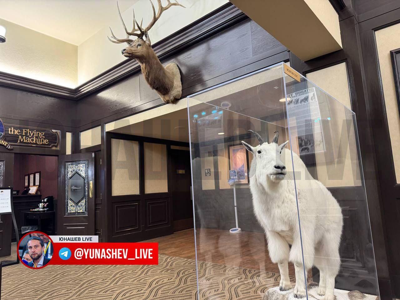 Российскую делегацию разместили в отеле с чучелами животных в холле.