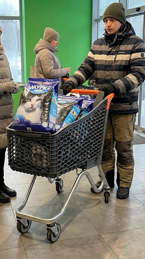 Украинцы массово скупают наполнитель для кошачьих туалетов по советам чиновников  – в условиях отсутствия канализации наполнители нужны не только котам, но и людям.