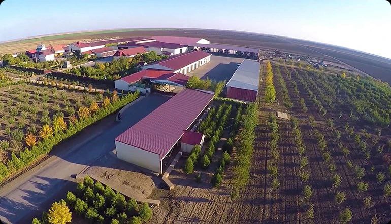 Предприятие «Агрофирма» Херсонской области