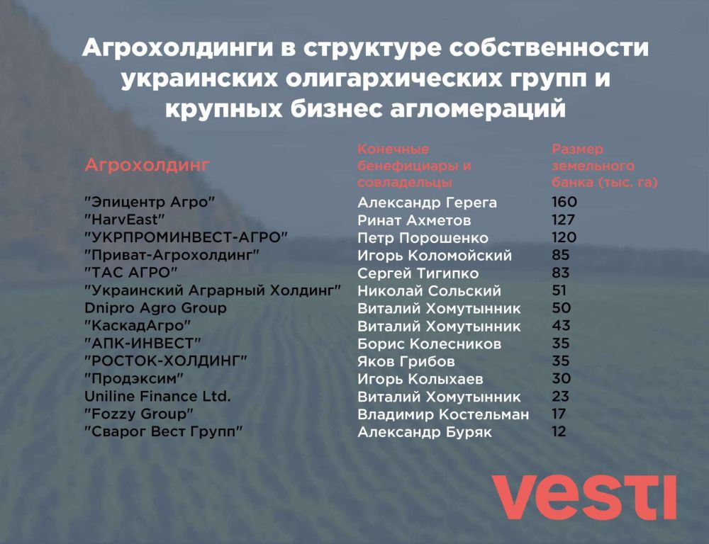 А вот и местные латифундисты…