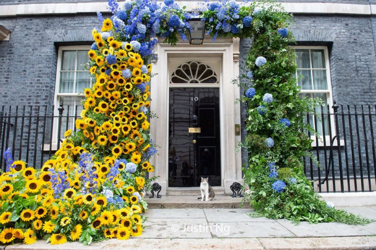 В честь незалежности Украины резиденцию премьер-министра Великобритании украсили синими и жёлтыми цветами. А британцы всё чаще указывают украинцам на дверь…