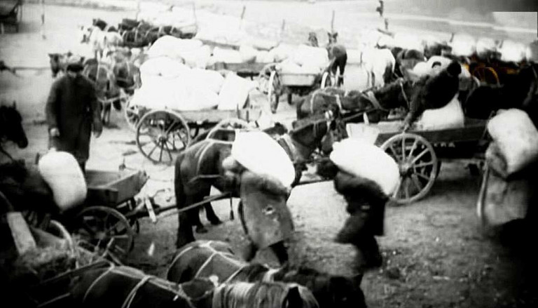 Поставки зерна в УССР в 1933 году из резервов СНК СССР для ликвидации последствий голода составили свыше 500 тысяч тонн. Это в разы больше, чем было дано в другие пострадавшие регионы страны. Кадр кинохроники. 