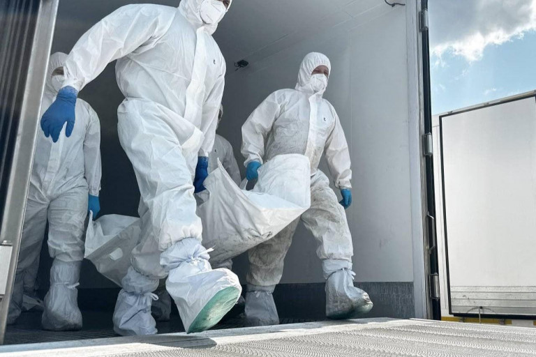 Заглавное фото: Передача тел погибших военных украинской стороне в июне 2025 года