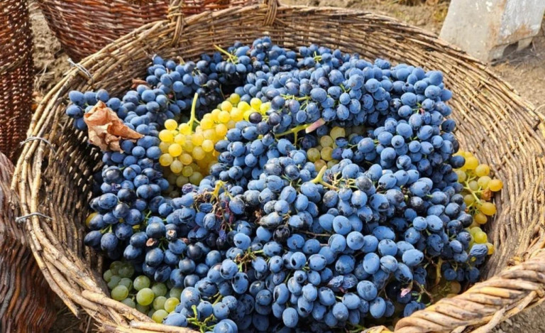 Заглавное фото – минсельхоз ЛНР