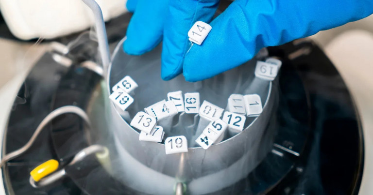 Украина ударит криоконсервацией по демографическому кризису 