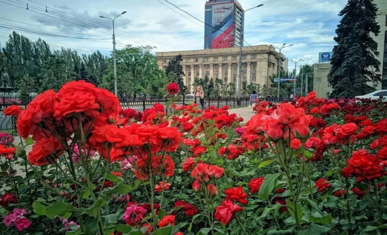 Донецк – город роз