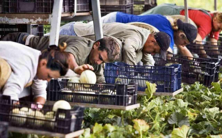 Заглавное фото: В Польше украинские беженцы работают в основном на низкоквалифицированных работах