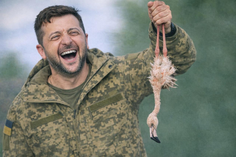 Зеленский и ракета «Фламинго»